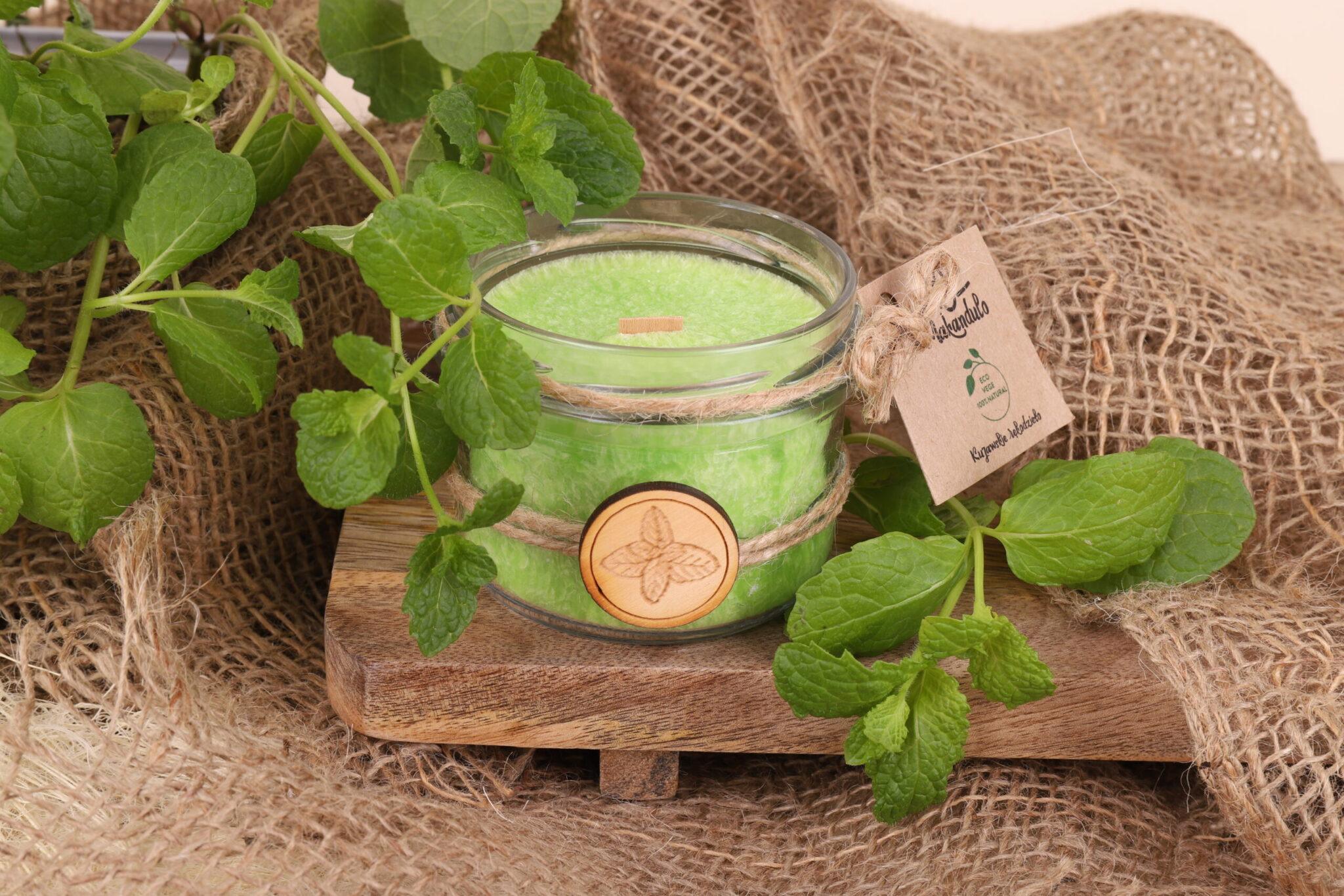 IMG 8693 melisa scaled